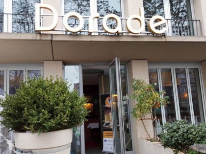 Фото: Dorade